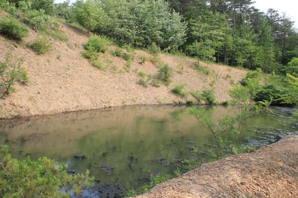 Cost of Pond Erosion Repair in Lebanon